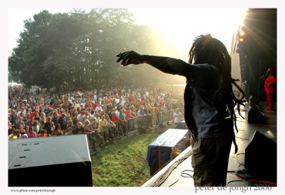 ricky chaplin - reggae geel