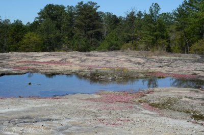 Outcrop pool