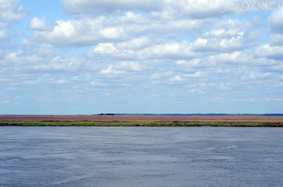 Marsh view