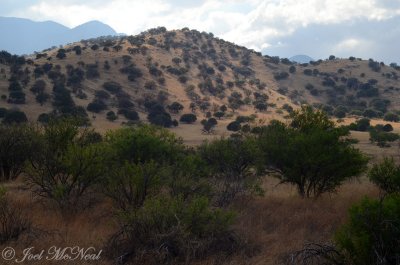 Huachuca foothills
