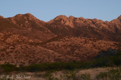 Santa Rita Mountains at sunset