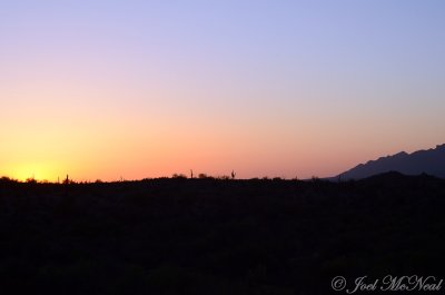 Sunset at Saguaro National Park