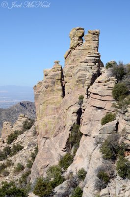 Mount Lemmon area