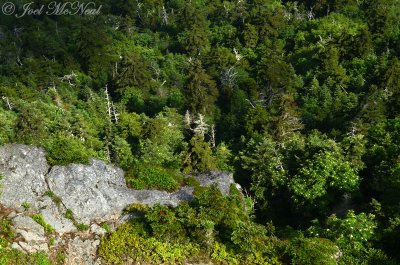 Vertical drop from Roan High Bluff