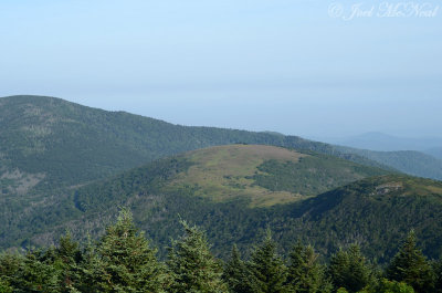 View of grassy balds atop Roan Highlands