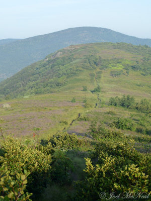 View SW from Grassy Ridge Bald along Appalachian Trail towards Jane Bald (Roan High Knob in background)