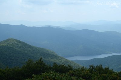 Craggy Gardens area view