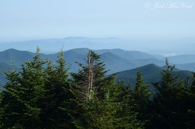 North Carolina Mts.: July 2011