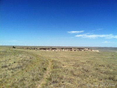 Windfarm near Pawnee Buttes: Weld Co., CO