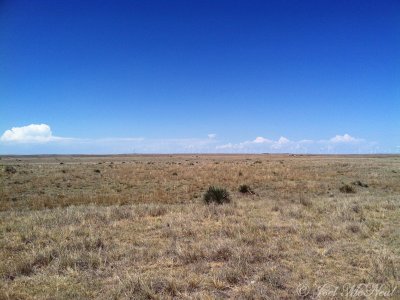 Windfarm near Pawnee Buttes: Weld Co., CO