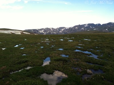 View from Beartooth Pass: Park Co., WY