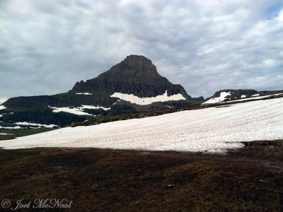 Alpine tundra: Glacier National Park, MT