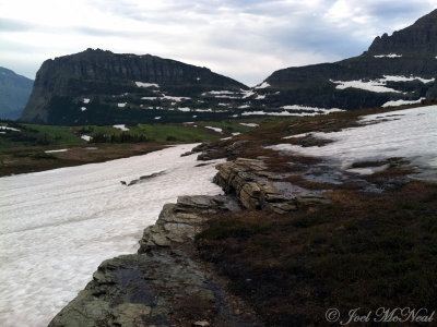 Alpine tundra: Glacier National Park, MT