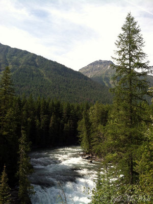 McDowell Creek: Glacier National Park, MT