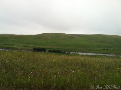 Lostwood NWR landscape: Burke Co., ND