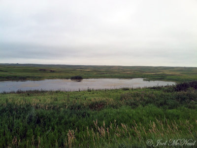 Lostwood NWR landscape: Burke Co., ND