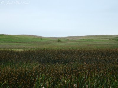 Wetland at Lostwood NWR: Burke Co., ND