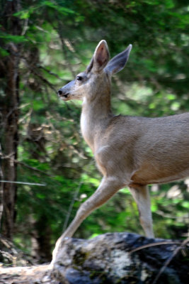 Camping 2012-30.jpg