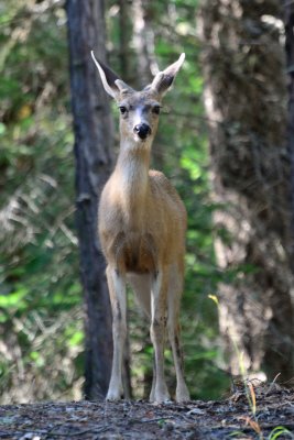 Camping 2012-31.jpg