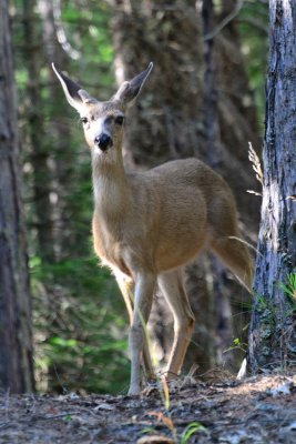 Camping 2012-33.jpg
