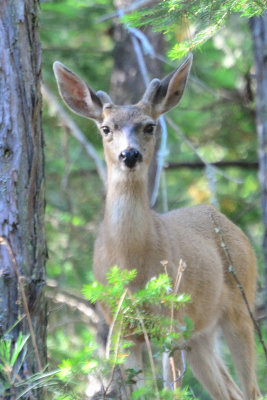 Camping 2012-34.jpg
