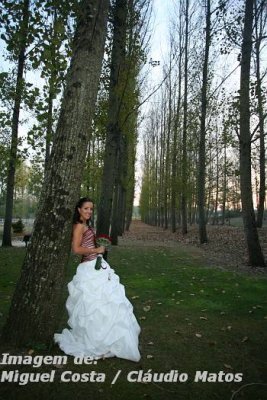 IMG_1082.JPG