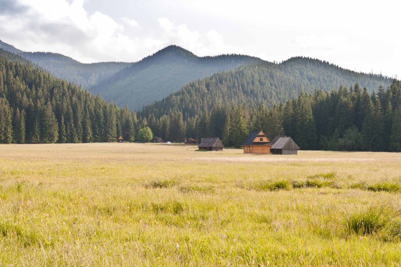 Entrance to Chocholowska Valley