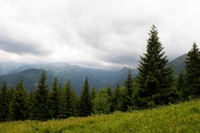 High Tatra from the Road to Gesia Szyja