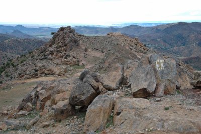 DSC_0233.jpg