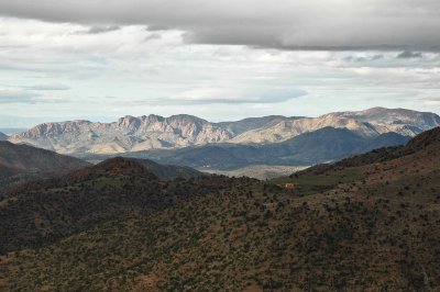DSC_0234.jpg