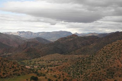 DSC_0238.jpg