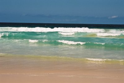 Bondi Beach