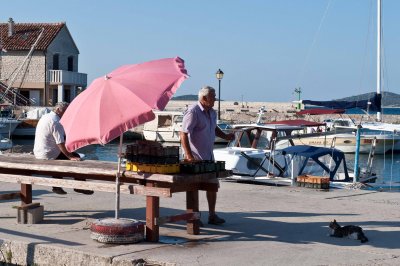 Fisherman and his companion