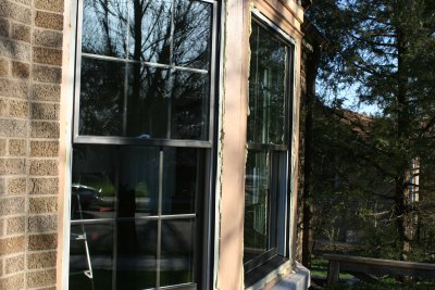 IMG_9350.JPG