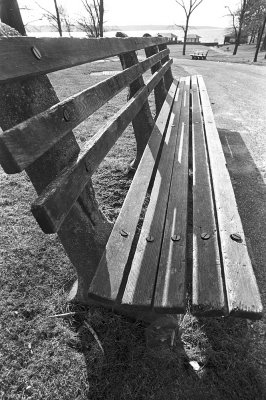 Morgan Park Bench