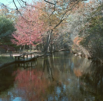 hatchery canal