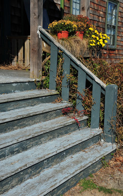 Mill Pond Club stairway