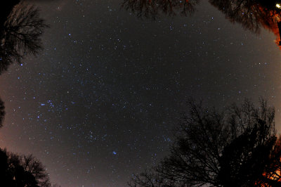 Winter Night