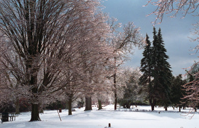 Entrance after storm