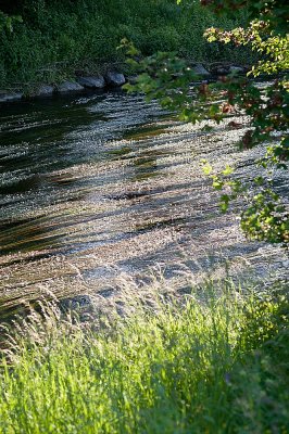 _DSC3829_01.jpg