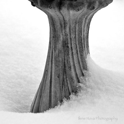 birdbath in snow