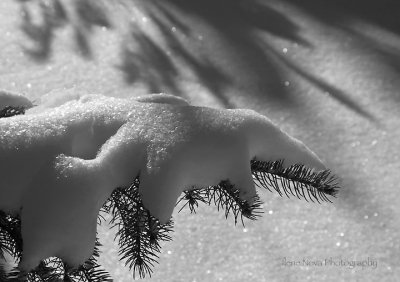 cold finger