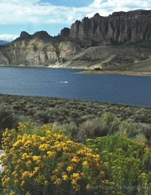 visit blue mesa reservoir!