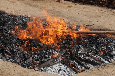 DSC_9449.JPG