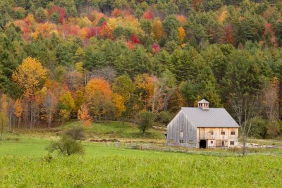 HIllside Barn