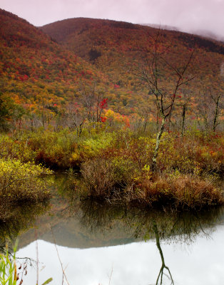 Roadside Mountain