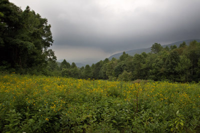 Storm approaching along the Skyline Drive