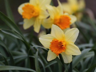 2011_04_30_00857.JPG