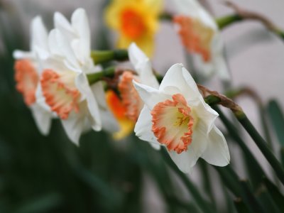 2011_04_30_00867.JPG