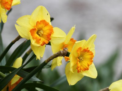 2011_04_30_00864.JPG